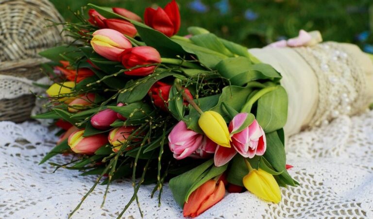 Waarom tulpen de mooiste bloemen zijn voor jou ?